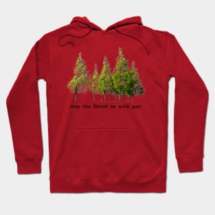 may the forest be with you Hoodie